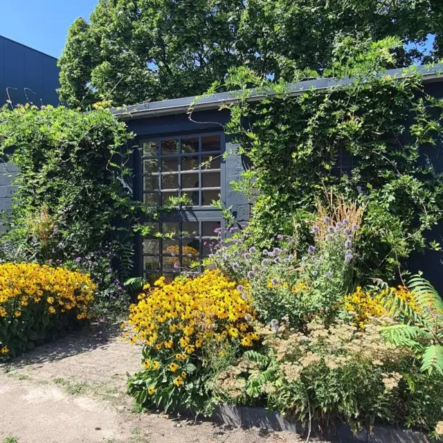 🌿 Industrieel erfgoed in volle bloei